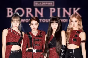 BTC concert của BLACKPINK cam kết trả tiền bản quyền trước 'giờ G'