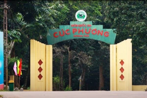  Vườn quốc gia Cúc Phương.