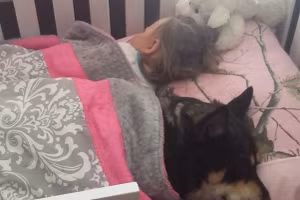 Khi chó cưng thích làm... bảo mẫu