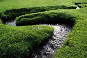 Con sông hẹp nhất thế giới chỉ rộng vài centimet