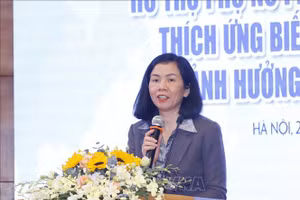 Phó Chủ tịch Hội Liên hiệp Phụ nữ Việt Nam Nguyễn Thị Minh Hương. Ảnh: Phương Hoa/TTXVN