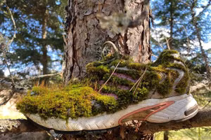 Kinh ngạc những bức ảnh thiên nhiên kỳ thú