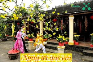 Những ca khúc chỉ cần nghe là thấy sắc xuân năm mới ngập tràn