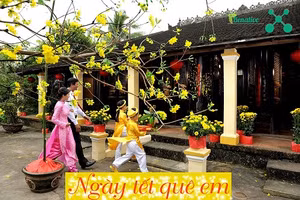 Những ca khúc chỉ cần nghe là thấy sắc xuân năm mới ngập tràn