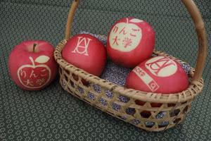 “Xăm hình cho táo”: kĩ thuật độc lạ biến những quả táo thành tác phẩm nghệ thuật ăn được