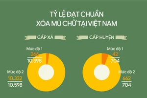 Tỷ lệ đạt chuẩn xóa mù chữ tại Việt Nam