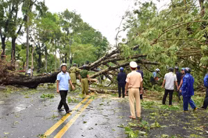 Lực lượng công an thành phố Huế tham gia dọn dẹp cây xanh bị gãy đổ bởi bão số 5.