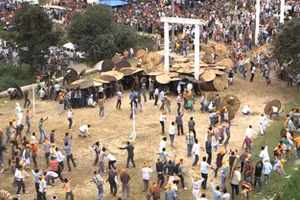 Mặc Covid-19, nghi lễ ném đá kỳ lạ tại Ấn Độ vẫn khiến 77 người bị thương chỉ sau 7 phút