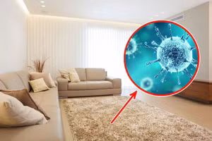 Những thói quen độc hại đang âm thầm gây ô nhiễm cho ngôi nhà bạn