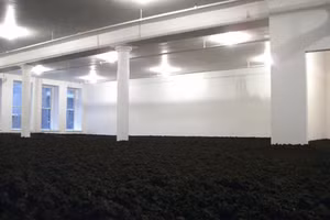 Căn phòng chứa.... 140 tấn bụi bẩn