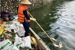 Lại xuất hiện tình trạng cá chết hàng loạt tại hồ Tây