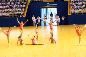 Bổ sung kinh phí tổ chức Hội khỏe Phù Đổng toàn quốc lần thứ X.