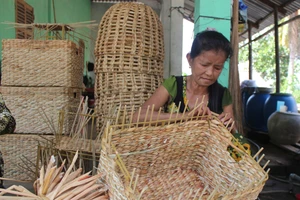 Hậu Giang quan tâm hỗ trợ sinh kế cho đồng bào dân tộc thiểu số