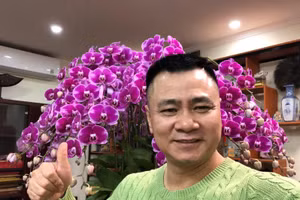 Dàn sao Việt hào hứng gửi lời chúc ngọt ngào tới một nửa đặc biệt nhân ngày 8/3