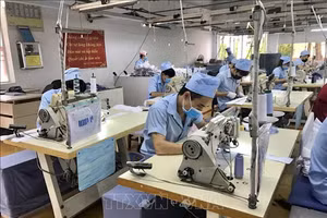 Ảnh minh họa: TTXVN