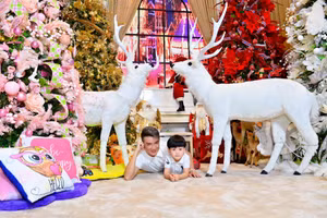 Sao Việt nô nức trang hoàng nhà cửa đón Giáng sinh