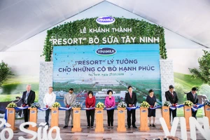 Đầu tư phát triển cả quy mô lẫn công nghệ, hệ thống trang trại Vinamilk tăng trưởng ấn tượng