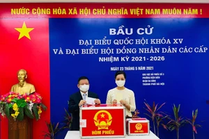 Hàng loạt sao Việt háo hức đi bầu cử trong “ngày hội non sông”