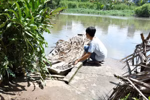 Để tới được nơi Trầm ở, phải đi đò qua rạch Bà Lớn, xã Phong Phú, H.Bình Chánh