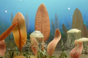 Dạng sống cổ xưa ở dưới đại dương có hình dạng giống chiếc lá.