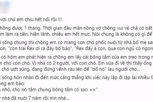Vợ dọa ly dị vì chồng lấy bông tắm cho chó cưng