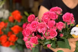Giá hoa hồng tăng mạnh trước ngày Lễ tình nhân 