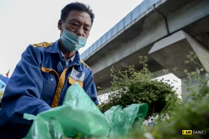 Những bó mùi già được người dân " săn lùng" trong những ngày cuối năm.