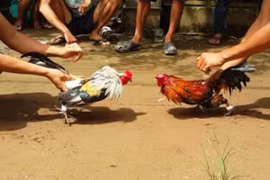 Ông Lê Chí Hưởng - nguyên Phó Bí thư Thường trực Đảng ủy, Chủ tịch HĐND phường 2, bị bãi nhiệm tư cách đại biểu HĐND TP Bạc Liêu. Ảnh minh họa