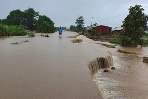 Bộ Y tế yêu cầu triển khai công tác bảo đảm y tế ứng phó với thiên tai, trong bối cảnh dịch bệnh Covid-19 diễn biến phức tạp.