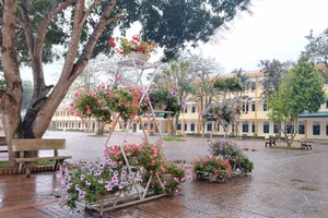 Khuôn viên "xanh- sạch-đẹp" tại Trường THPT Cao Thắng. 