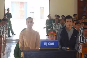 Phan Công Thành đã rủ Nguyễn Đắc Hoàng tại phiên xét xử.