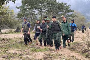 Hành trình gần 2 năm xuyên rừng, xuyên đêm truy bắt kẻ giết người nguy hiểm, chui lủi trong rừng sâu buôn bán ma túy.