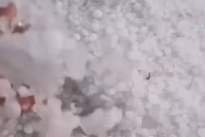 Các viên mưa đá người dân nhặt được sau trận mưa đá lớn bất thường ở huyện miền núi A Lưới, tỉnh Thừa Thiên - Huế (Ảnh: người dân cung cấp).