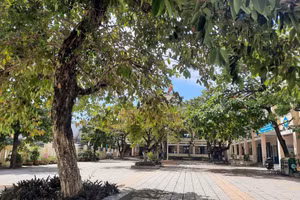 Trường Tiểu học Nguyễn Phan Vinh, nơi xảy ra vụ học sinh lớp 1 bị đánh bầm tím sau khi đi học về