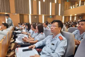 Đại biểu tham dự Hội nghị tổng kết công tác thanh tra, kiểm tra khối các Sở GD&ĐT.