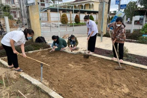 Học sinh Trường THPT Bình Sơn (Quảng Ngãi) làm đất để thực hiện các dự án học tập liên môn tại Khu hoạt động trải nghiệm. 