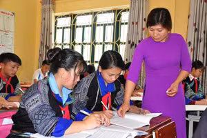  Yên Bái còn thiếu trên 2.200 giáo viên các cấp học. Ảnh: Thanh Vy