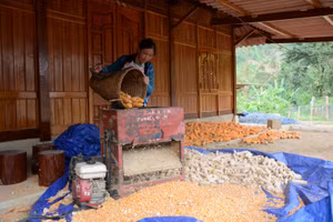 Có điểm khởi đầu nhưng không có điểm kết thúc để xây dựng NTM bền vững.