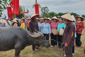 Lễ hội Mục đồng ở làng Phong Lệ. 