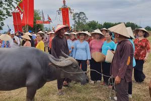 Lễ hội Mục đồng ở làng Phong Lệ. 