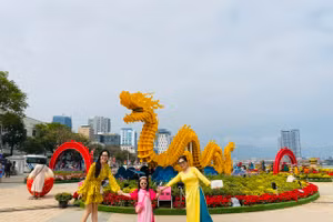 Du khách check-in với đường hoa Xuân Đà Nẵng. 