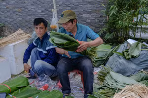 Ông Lê Văn Hùng bán lá dong ở Đà Nẵng. 