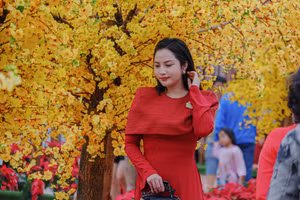 Du khách “check-in” tại đường hoa Xuân Đà Nẵng. 