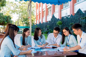 Sinh viên Sư phạm Trường Đại học Đồng Tháp trong giờ thảo luận nhóm. Ảnh tư liệu.