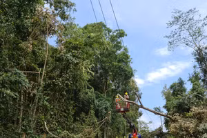 Cán bộ ngành điện khẩn trương khắc phục sự cố.