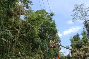 Cán bộ ngành điện khẩn trương khắc phục sự cố.