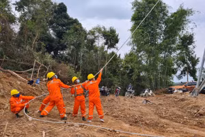 Nỗ lực đẩy nhanh tiến độ thi công, đấu nối trước Tết Nguyên đán 2022.