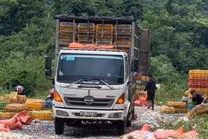 Hiện trường vụ việc