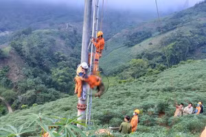 Điện lực Văn Bàn hỗ trợ đưa thi thể nạn nhân xuống đất