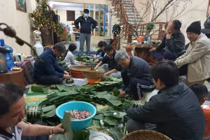Gói bánh chưng để giới thiệu truyền thống ngày Tết